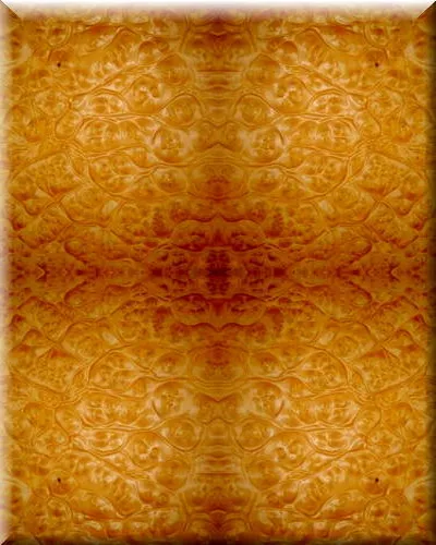 43b