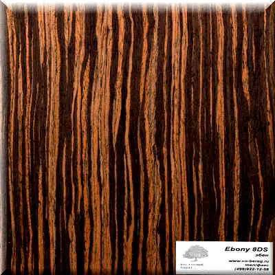 ebony 8ds