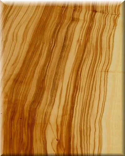 oliva