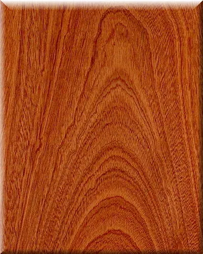 sapele